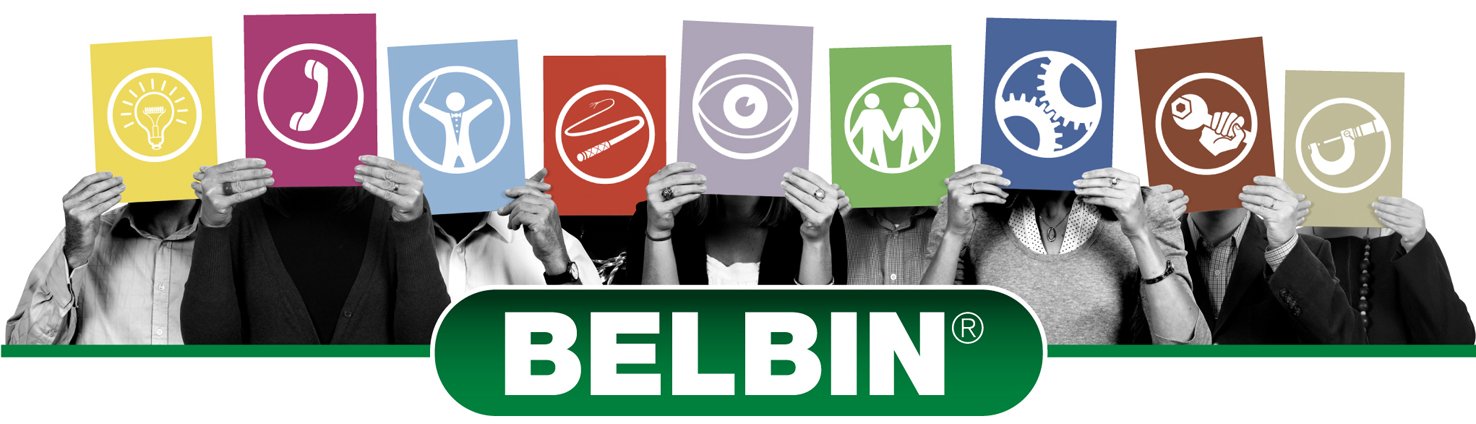 belbin-team-roles-360-andi-roberts